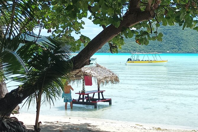 Half a day to discover Bora Bora with O-sea - Cruising the outer ocean slope