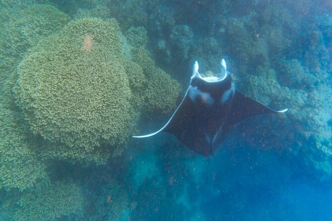 Half a day to discover Bora Bora with O-sea - What the $140 price includes