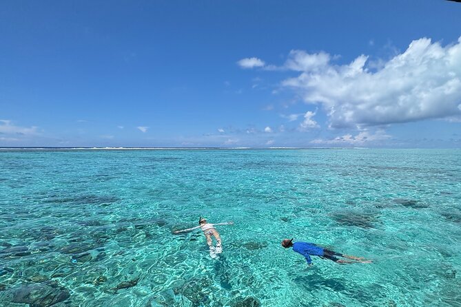 Half day Eco Snorkeling small group Tour in Bora Bora - Key points to know before you book