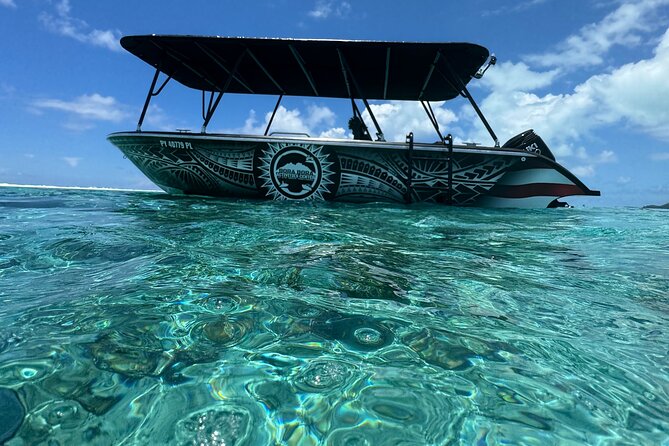 Half day Eco Snorkeling small group Tour in Bora Bora - Three hours around Bora Bora Lagoon