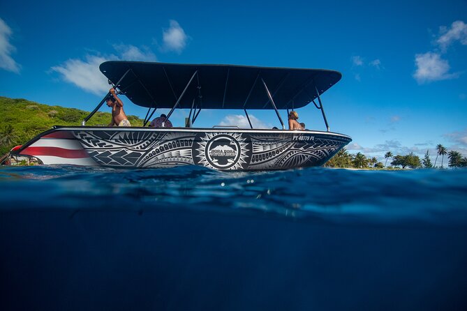 Half day Eco Snorkeling small group Tour in Bora Bora - Why the small group changes the experience