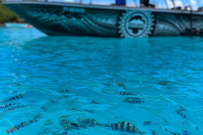 Half day Eco Snorkeling small group Tour in Bora Bora - Guides who add more than directions