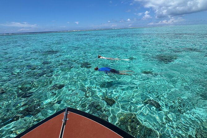 Half day Eco Snorkeling small group Tour in Bora Bora - What the price of $139.68 gets you