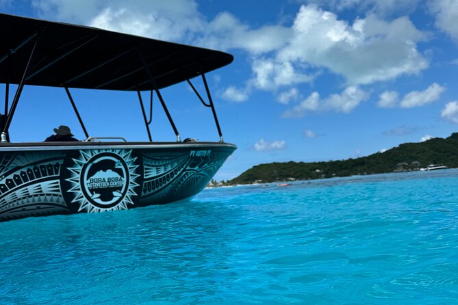 Half day Eco Snorkeling small group Tour in Bora Bora - Weather, comfort, and what to bring