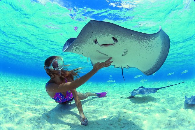 Half day Excursion, Drift Snorkeling Lagoon Adventure. 3H - Moorea’s lagoon from a glass-bottom boat
