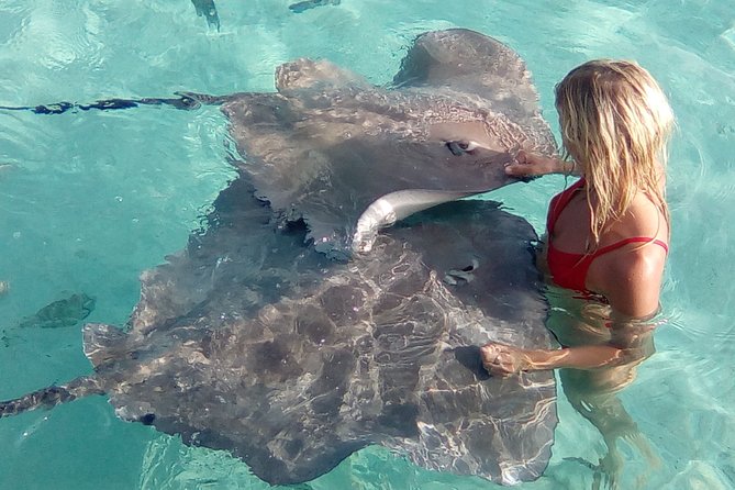 Half day Excursion, Drift Snorkeling Lagoon Adventure. 3H - Snorkeling for confident swimmers and cautious beginners