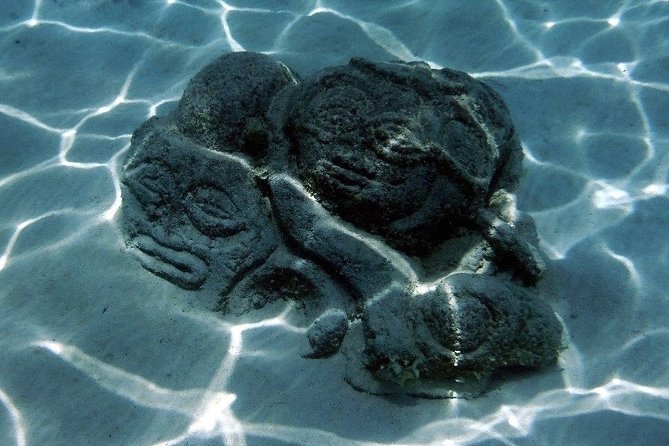 Half day Excursion, Drift Snorkeling Lagoon Adventure. 3H - What the $91.24 price gets you