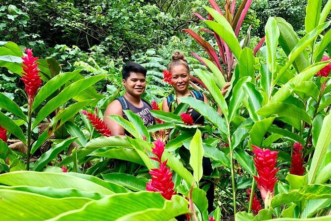 Half-Day Guided Hike to Afareaitu Waterfall - Afareaitu Waterfall and the cool-water finish