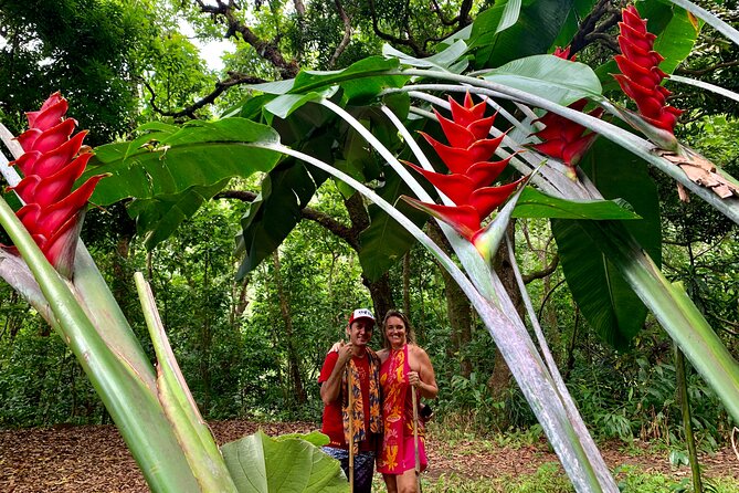 Half-Day Guided Hike to Afareaitu Waterfall - How difficult is the hike?