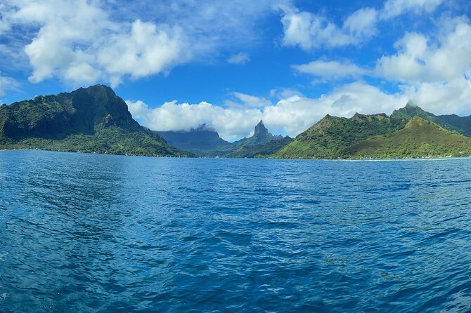 Half-Day Humpback Whales Encounter in Moorea - Why Moorea’s humpback season matters