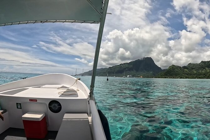 Half-Day Humpback Whales Encounter in Moorea - When the swim is allowed