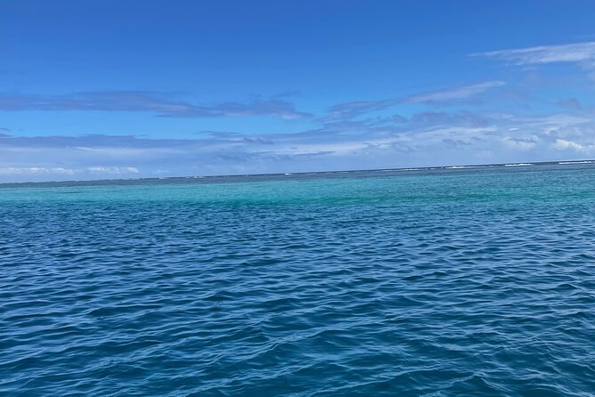 Half-Day Humpback Whales Encounter in Moorea - How much swimming should you expect?