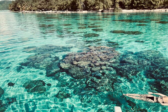 Half day lagoon safari tour in Bora Bora- Shared tour - From Matira to Bora Bora’s open lagoon