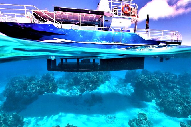 Half day lagoon safari tour in Bora Bora- Shared tour - A guide-led trip with local character