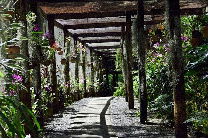 Half Day Mudpools, Veseisei Fijian Village, Gardens of Sleeping Giants &Shopping - Sabeto Hot Springs and Mud Pool