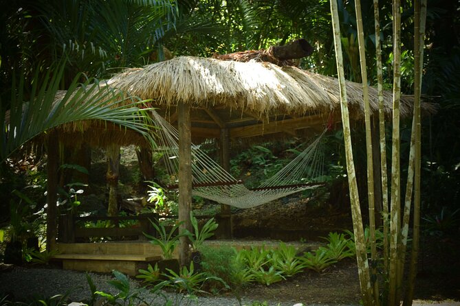Half Day Mudpools, Veseisei Fijian Village, Gardens of Sleeping Giants &Shopping - Is $88.90 a fair price?