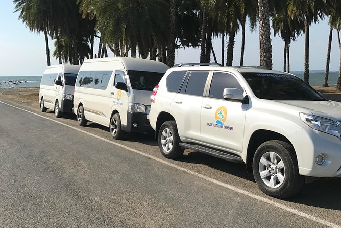 Half Day Nadi Sightseeing & Mud Pool Tour - How the guides affect the day