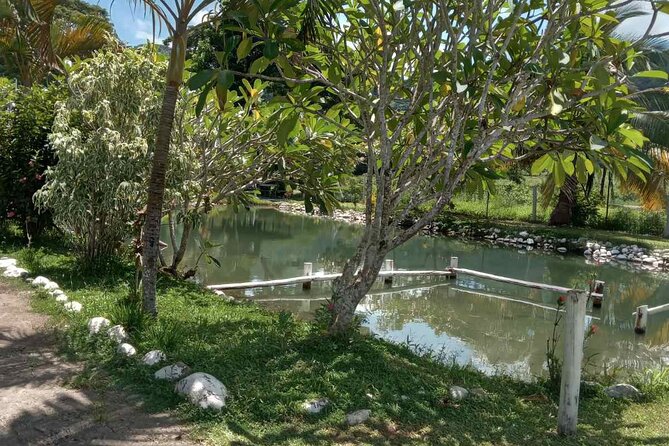 Half Day Nadi Tour Temple, Market, Gardens and Mud Pools - What the $136.03 price really buys