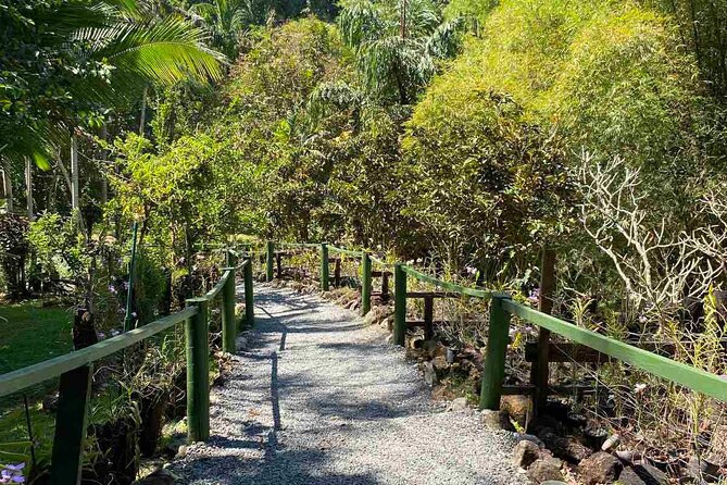 Half Day Nadi Tour Temple, Market, Gardens and Mud Pools - Tappoo Nadi and Namaka Market: crafts, coconut, and produce