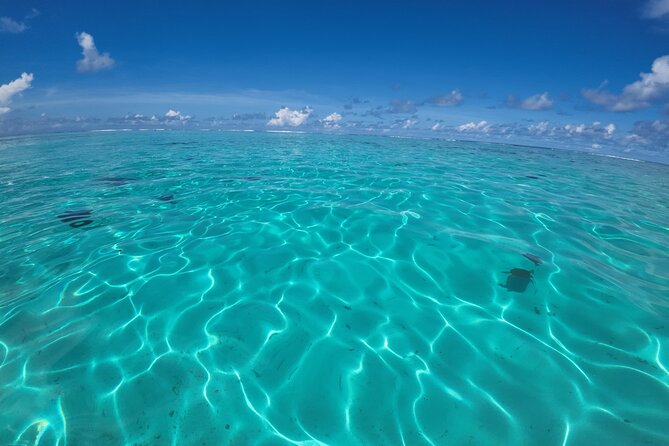 Half Day Private Boat Snorkeling Excursion Moorea - A private way to see Moorea from the lagoon