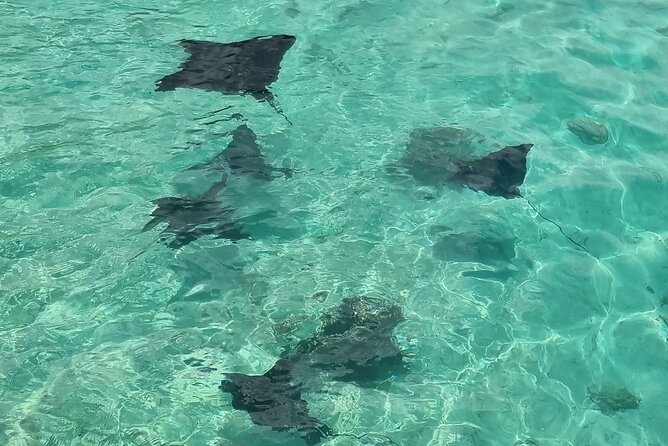 Half Day Private Boat Snorkeling Excursion Moorea - Underwater tiki statues and the coral garden