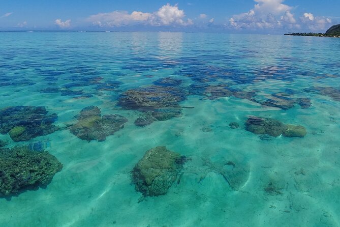 Half Day Private Boat Snorkeling Excursion Moorea - Is $881.50 a fair price?