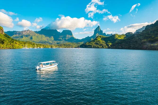 Half Day / Private Lagoon Adventure in Mo'orea - Watching for turtles, dolphins, and reef life