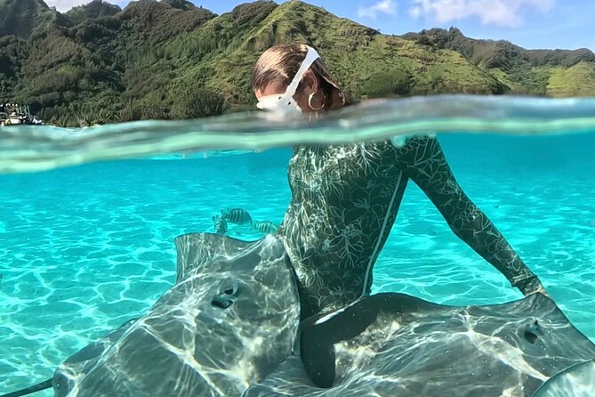Half Day / Private Lagoon Adventure in Mo'orea - What the $668.05 price really means