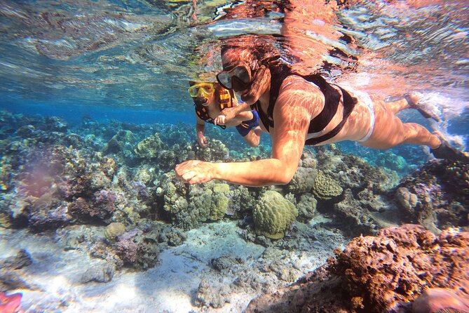 Half Day / Private Lagoon Adventure in Mo'orea - Comfort, group size, and practical limits