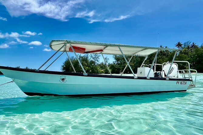 Half Day / Private Lagoon Adventure in Mo'orea - First water stop: a shallow sandbar with rays and small sharks