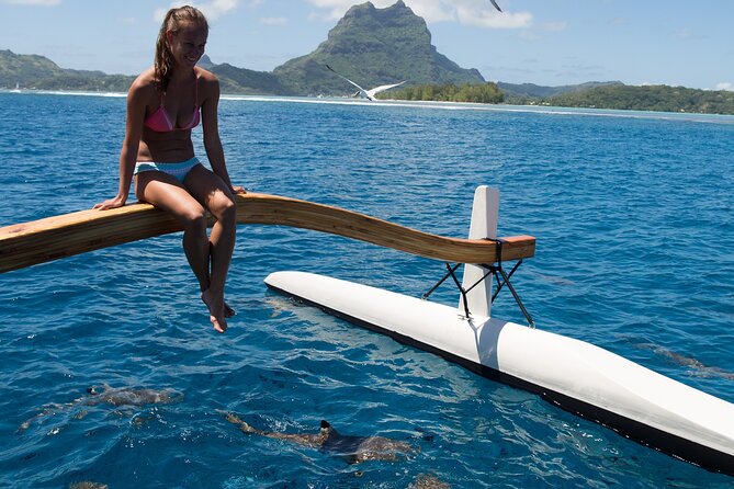 Half Day Private Lagoon Snorkeling Experience - The Aquarium snorkeling stop