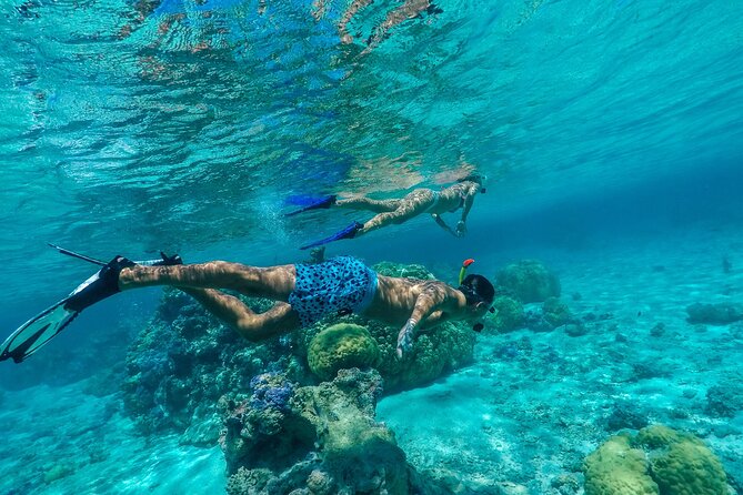 Half-Day Private Luxury Tour from Bora Bora - Stop one: getting close to Bora Bora’s stingrays