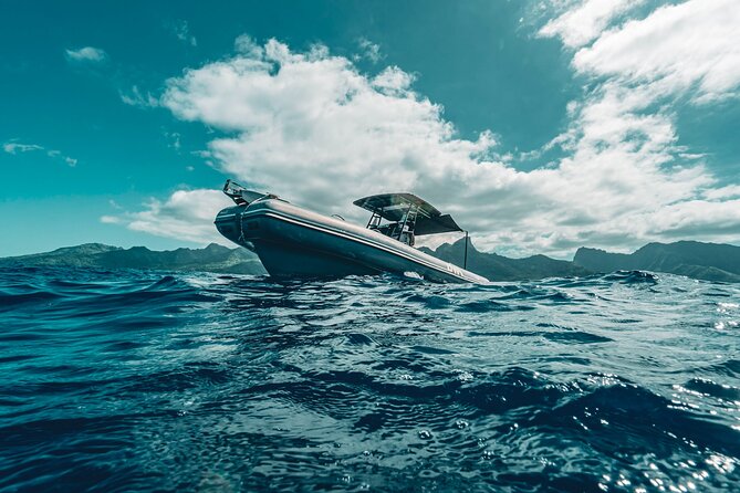 Half Day Private Whale Watching in Moorea - What the four-hour outing can look like