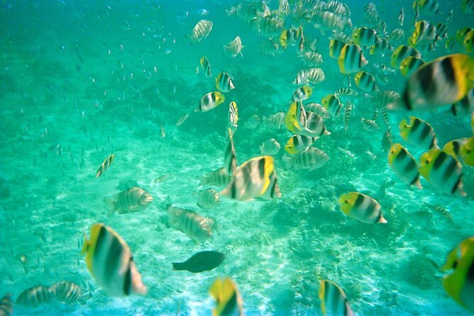 Half-Day Sailing Trip on the Lagoon of Tahiti Comments - Anchoring near Moorea
