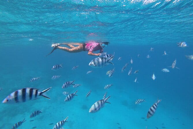 Half-Day Sailing Trip on the Lagoon of Tahiti Comments - Who will enjoy this trip most?