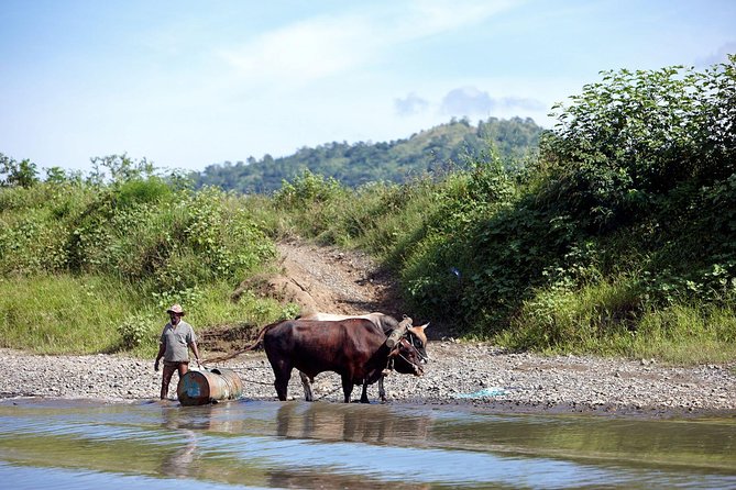 Half Day Sigatoka River Jetboat & Village Tour with Lunch & Transfers - How the timing works from resort areas
