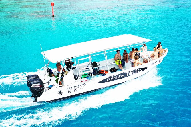 Half Day Snorkeling in Moorea - Key points to know before you book