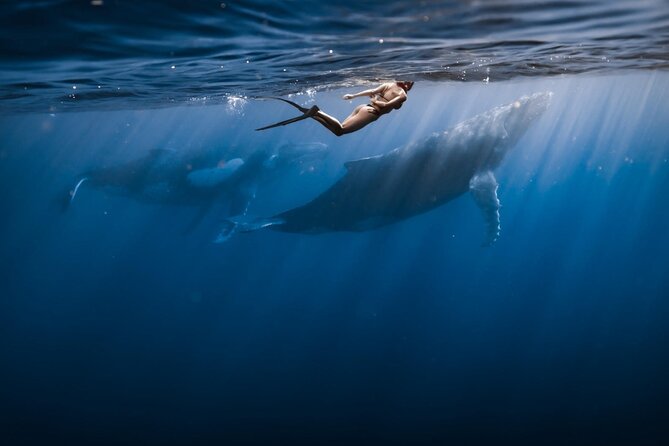 Half Day Snorkeling in Moorea - Fruit, drinks and the ride back