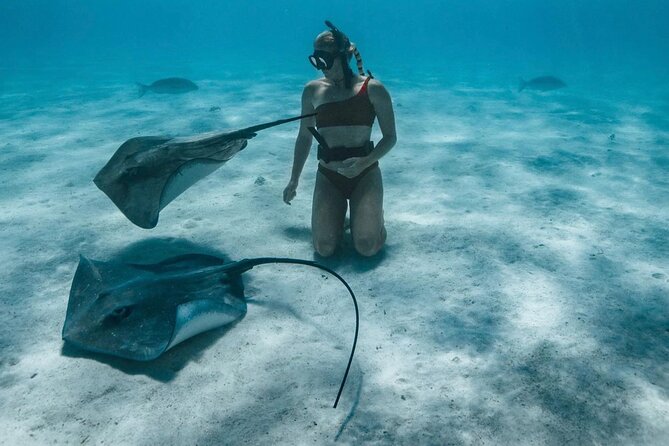 Half Day Snorkeling in Moorea - Is $143.42 a fair price?