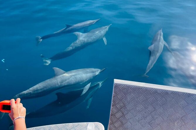Half day Tahiti Peninsula and Teahupoo boat tour (shared boat) - River swimming and the final coral garden