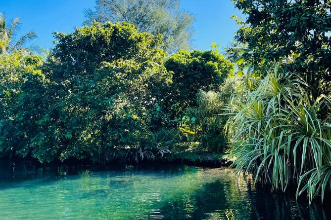 Half day Tahiti Peninsula and Teahupoo boat tour (shared boat) - Who will enjoy this boat tour most