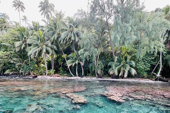 Half day Tahiti Peninsula and Teahupoo boat tour (shared boat) - Watching the reefbreak from the channel