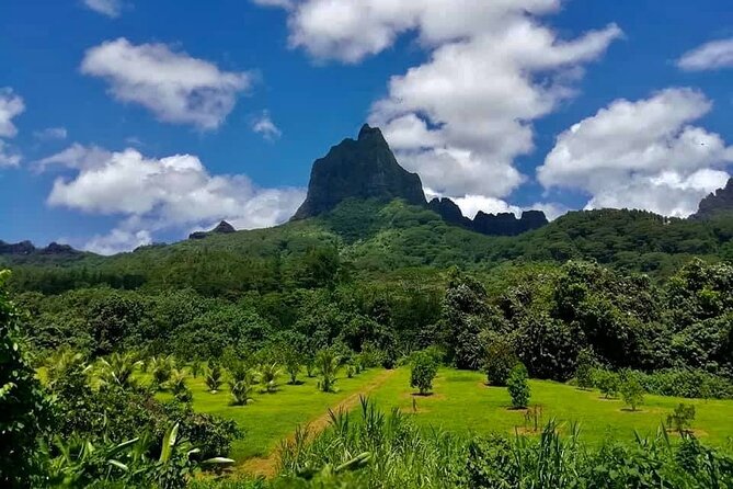 Half-Day Tour of Moorea Island in a Small Group - The vehicle question: open truck, 4x4, or air conditioning
