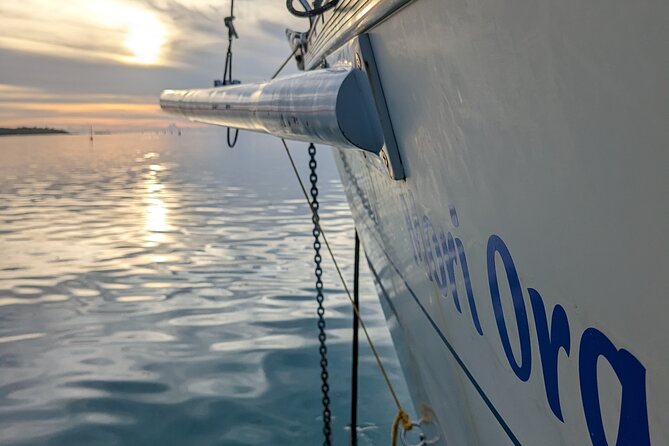 Half day whale watching - Without launch - How the $558.73 price works