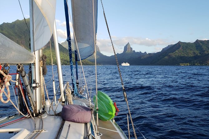 Half day whale watching - Without launch - Who should book this experience