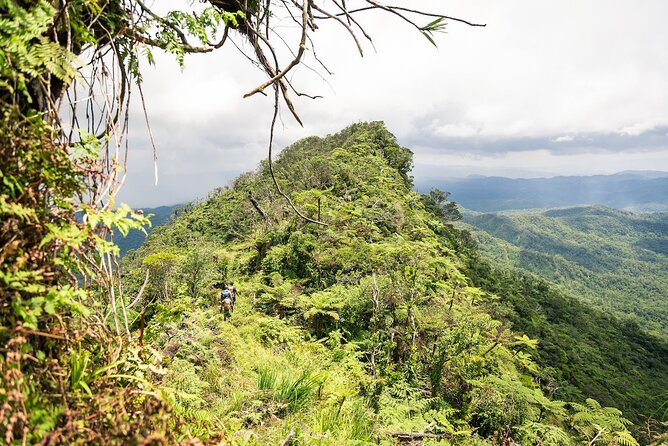 Hiking Adventure including Fiji's Highest Mountain and 3 Nights - Key points before you book