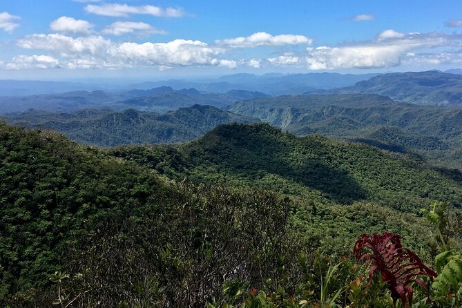 Hiking Adventure including Fiji's Highest Mountain and 3 Nights - Why Fiji’s interior changes the whole trip
