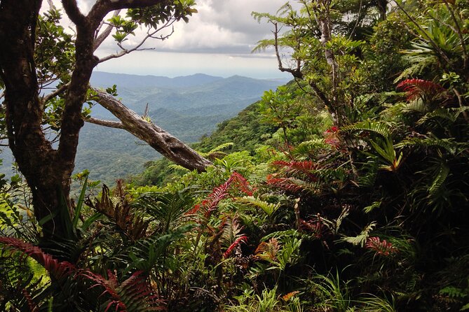 Hiking Adventure including Fiji's Highest Mountain and 3 Nights - Day one: 4WD roads and a night in Navai