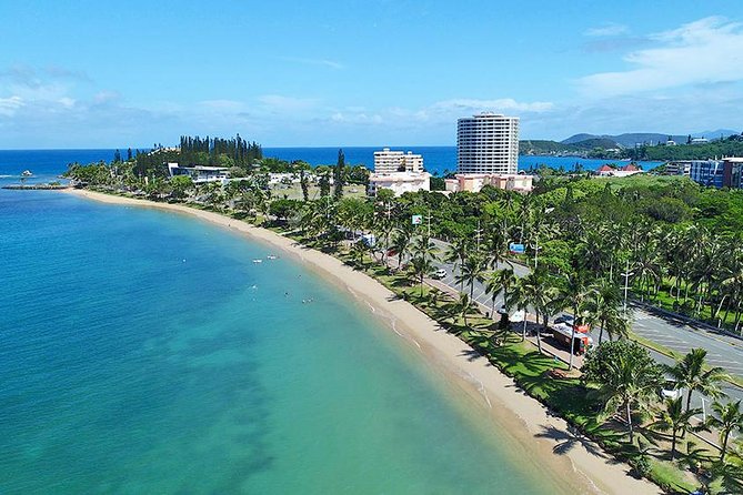 Hop-On Hop-Off / HOHO / All Day Pass (return ticket's) - Stop 6: The New Caledonia Museum district