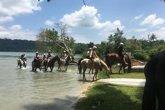 Horse Riding in Port Vila with Yumi Tours - Choosing a horse for your riding ability
